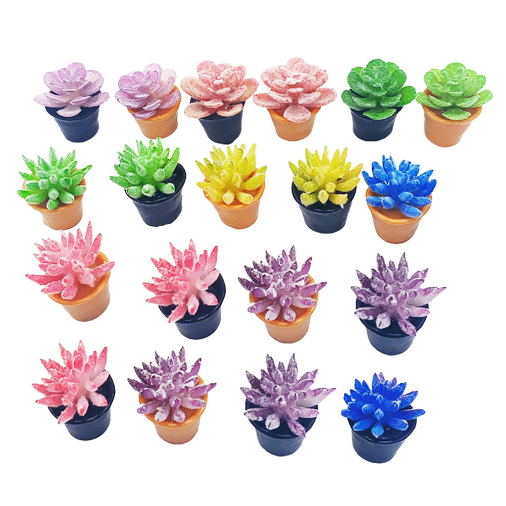 24 ชิ้น กระถางต้นไม้อวบน้ำจิ๋ว - Desk Setup With Plants บทวิจารณ์และราคา