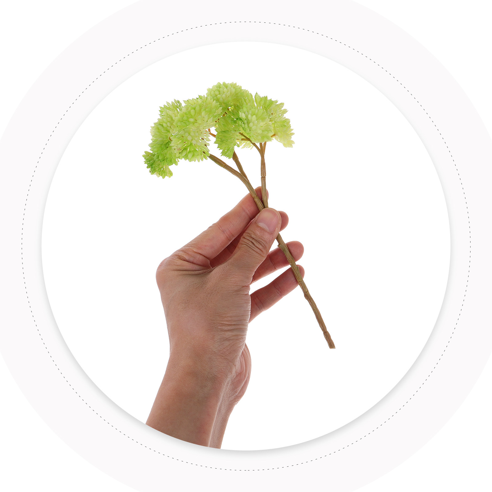 ต้นไม้อวบน้ำปลอมขนาดเล็ก ไม่ต้ - Desk Setup With Plants บทวิจารณ์และราคา